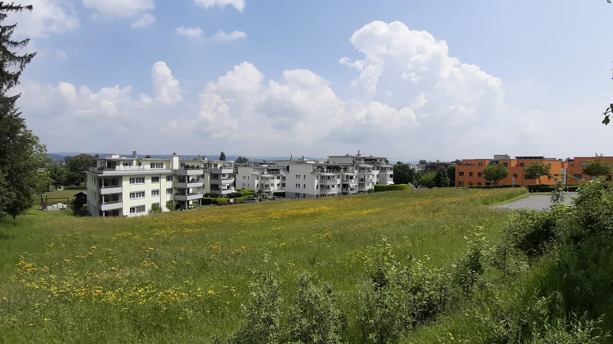Eine Wiese mit Wohnblöcken.